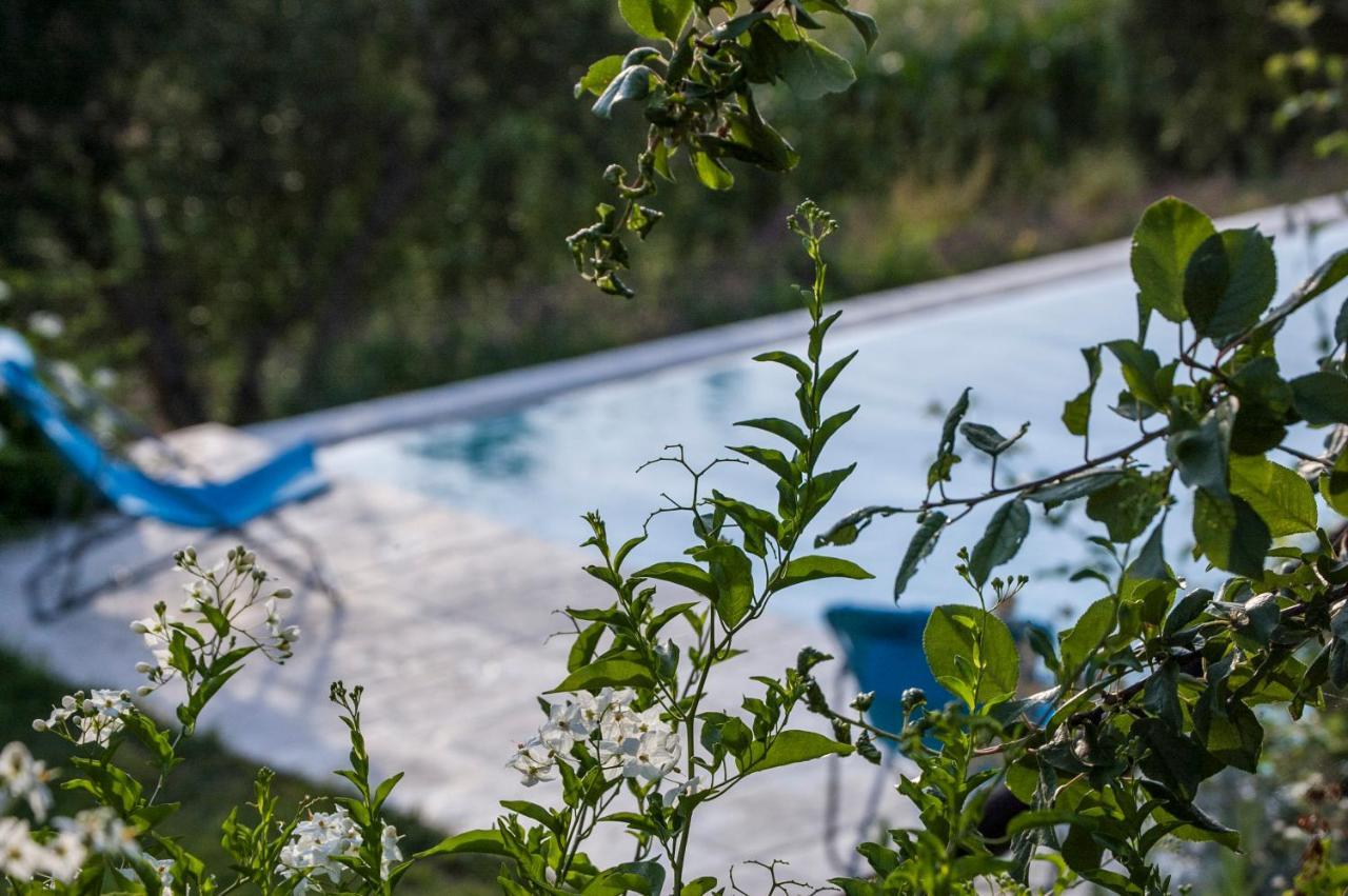 Tenuta San Rocco Conzano Exterior foto