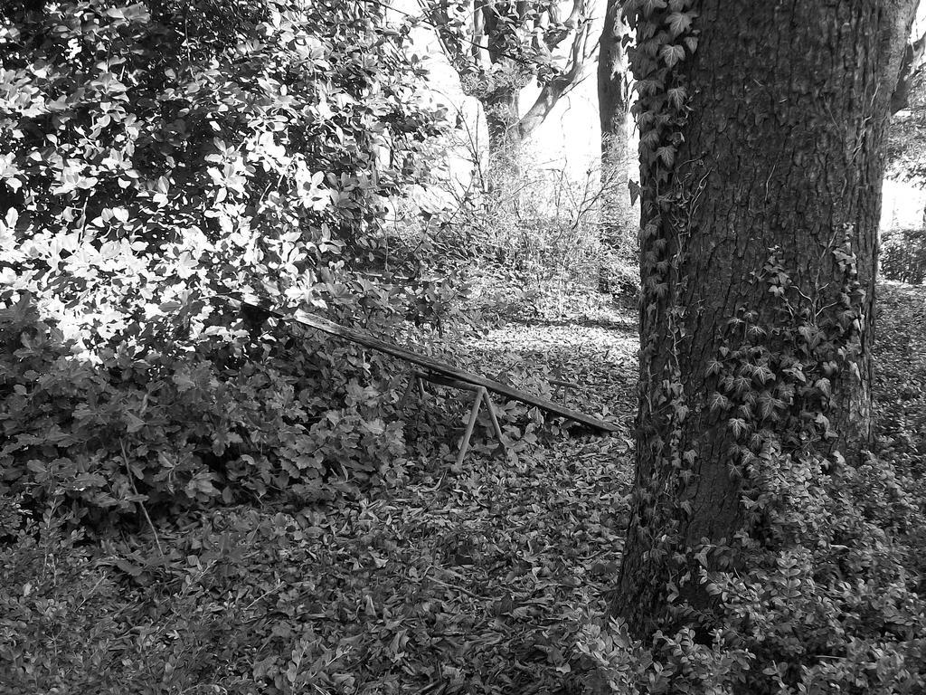 Tenuta San Rocco Conzano Exterior foto
